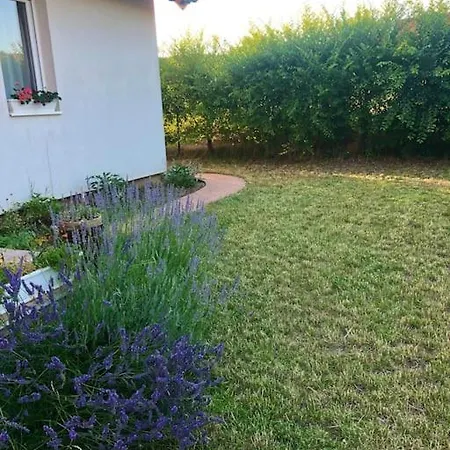 Apartment Your Cosy Getaway Halfway Between Lake And Forest Vonyarcvashegy