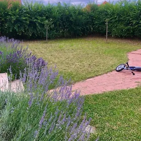 Apartment Your Cosy Getaway Halfway Between Lake And Forest Vonyarcvashegy