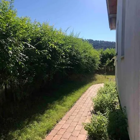 Your Cosy Getaway Halfway Between Lake And Forest Apartment