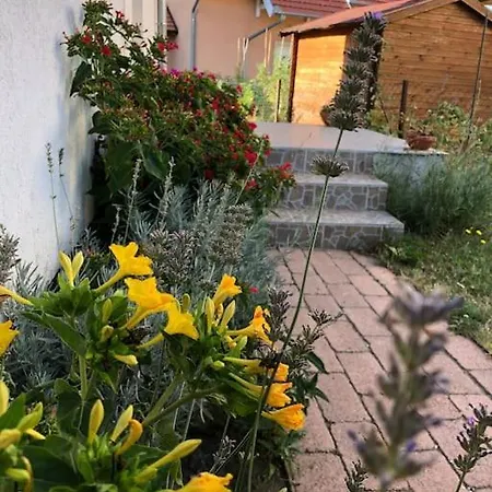 Your Cosy Getaway Halfway Between Lake And Forest Apartment