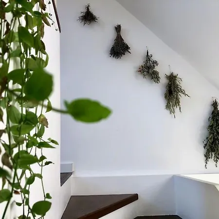Your Cosy Getaway Halfway Between Lake And Forest Apartment